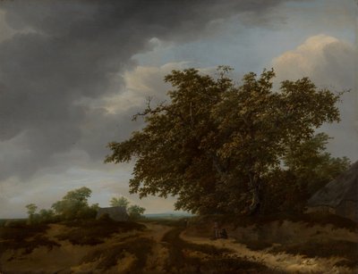 Landscape at the Dune Edge by Jan Vermeer van Haarlem